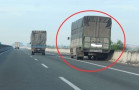 Mức phạt Dừng xe, đỗ xe trên đường cao tốc không đúng nơi quy định