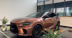 Chi tiết fv88 link RX500h FSport 2025 kèm giá bán (05/2026)