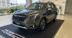 fv88 link fv88 top Forester 2024 lăn bánh và ưu đãi (05/2026)