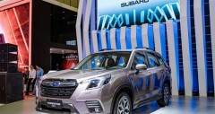 fv88 link fv88 top Forester 2023 cũ tháng (05/2026)
