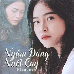 dai-ly-fv88-binh-phuoc