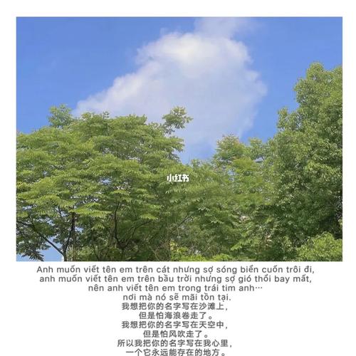 fv884-Electric-man-hinh-giai-tri