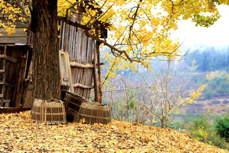 miss-fv88-pham-tran-phuong-thanh-1